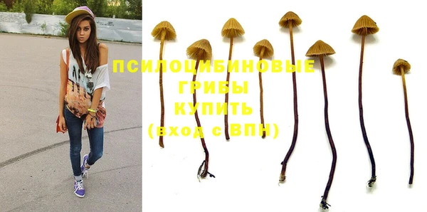 mdpv Абдулино